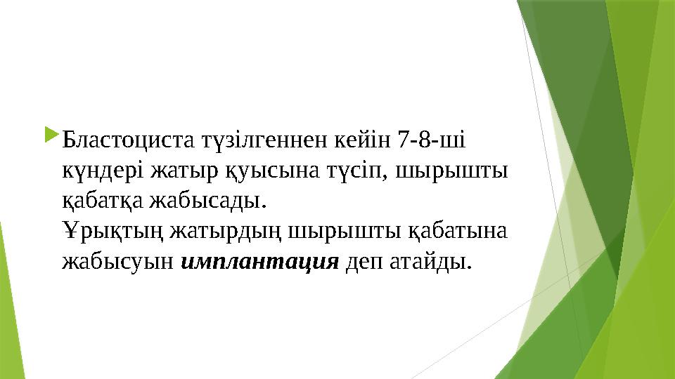  Бластоциста түзілгеннен кейін 7-8-ші күндері жатыр қуысына түсіп, шырышты қабатқа жабысады. Ұрықтың жатырдың шырышты қабат