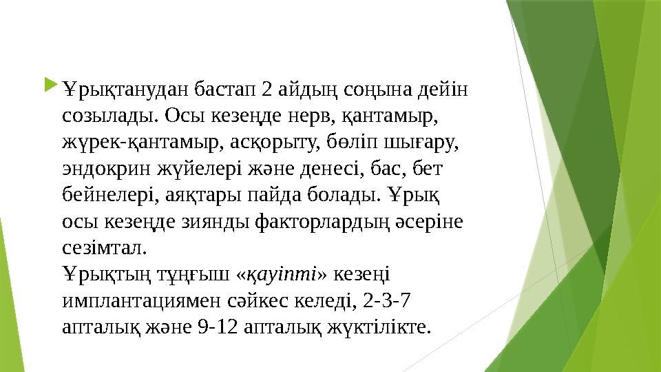  Ұрықтанудан бастап 2 айдың соңына дейін созылады. Осы кезеңде нерв, қантамыр, жүрек-қантамыр, асқорыту, бөліп шығару, эндокрин