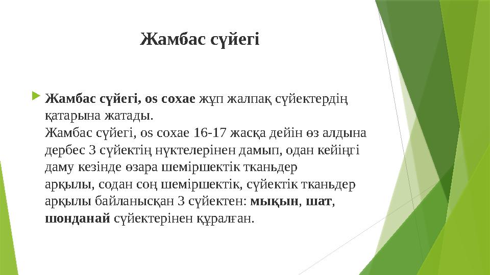 Жамбас сүйегі  Жамбас сүйегі, os coxae жұп жалпақ сүйектердің қатарына жатады. Жамбас сүйегі, os coxae 16-17 жасқа дейін ө