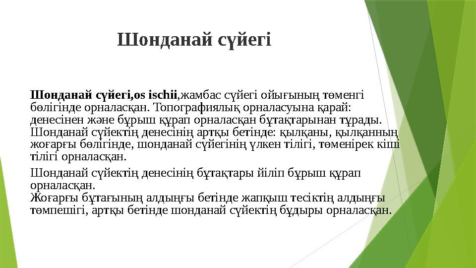 Шонданай сүйегі Шонданай сүйегі, os ischii , жамбас сүйегі ойығының төменгі бөлігінде орналасқан. Топографиялық орналасуына қ