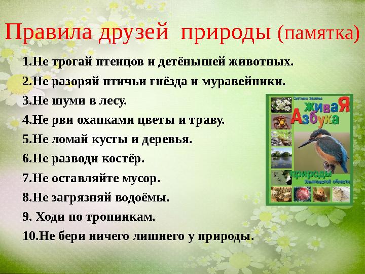 Правила друзей природы (памятка) 1.Не трогай птенцов и детёнышей животных. 2.Не разоряй птичьи гнёзда и муравейники. 3.Не шуми