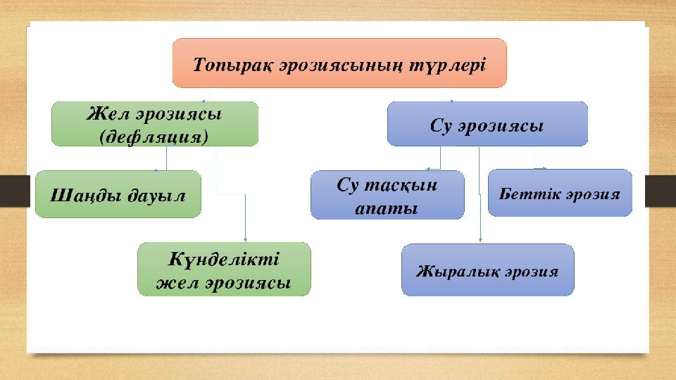 Шынайы өмірдегі әдемі студенттік секс