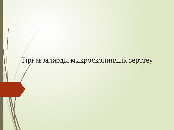 Микроскоптардың астындағы пияз