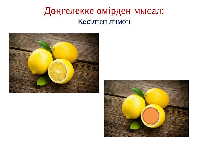 Дөңгелекке өмірден мысал: Кесілген лимон