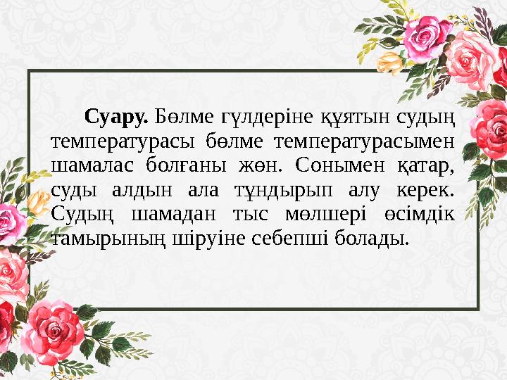 Суару. Бөлме гүлдеріне құятын судың температурасы бөлме температурасымен шамалас болғаны жөн. Сонымен қатар, суд