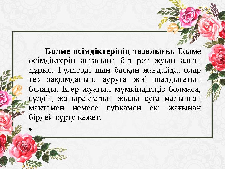 Бөлме өсімдіктерінің тазалығы. Бөлме өсімдіктерін аптасына бір рет жуып алған дұрыс. Гүлдерді шаң басқан