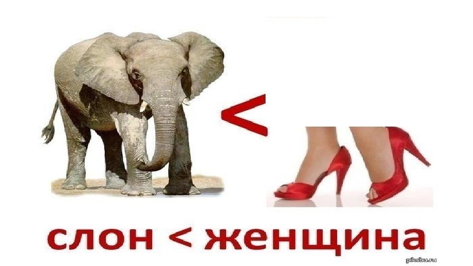 WWW.PHYSIC.KZ