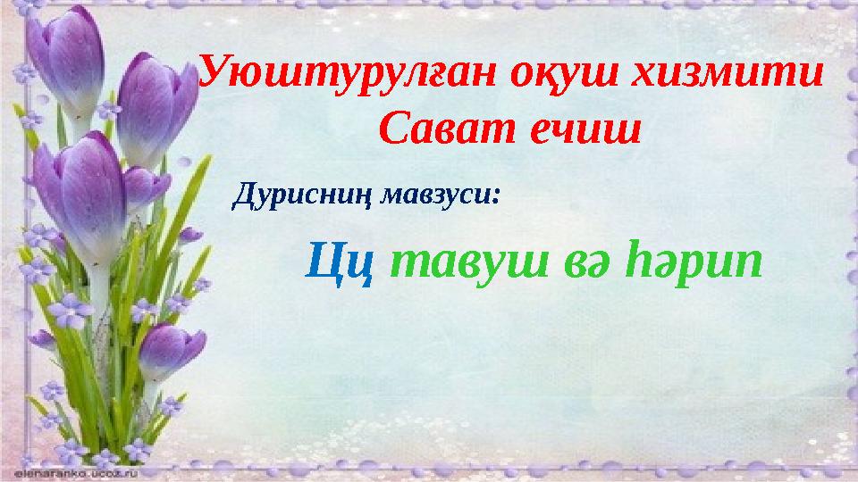 Уюштурулған оқуш хизмити Сават ечиш Дурисниң мавзуси: Цц тавуш вә һәрип