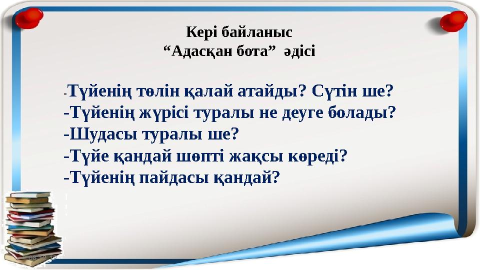 Кері байланыс “ Адасқан бота” әдісі - Түйенің төлін қалай атайды? Сүтін ше? -Түйенің жүрісі туралы не деуге болады? -Шудасы тур