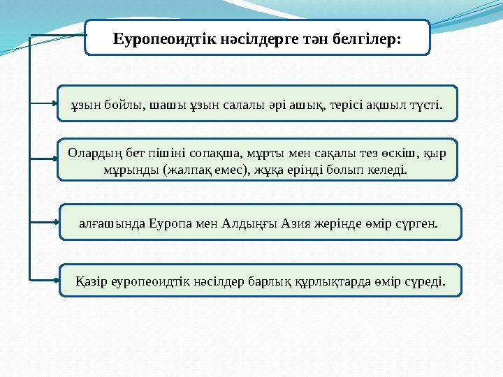 Жалаңаш бейне чат