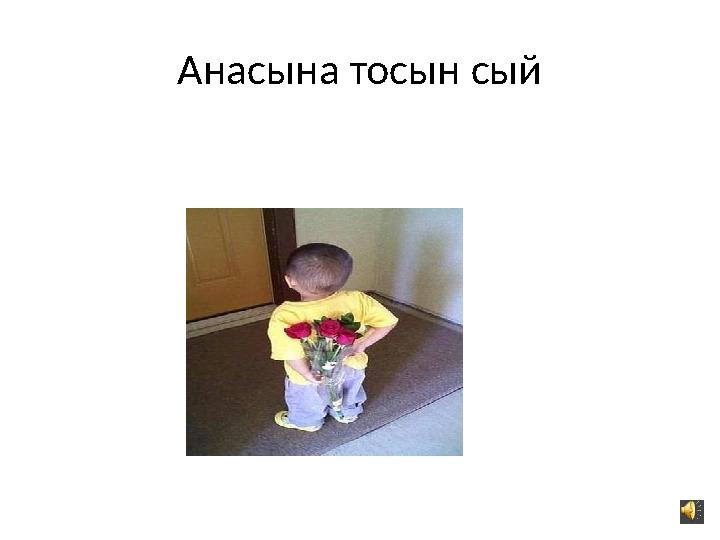 Анасына тосын сый