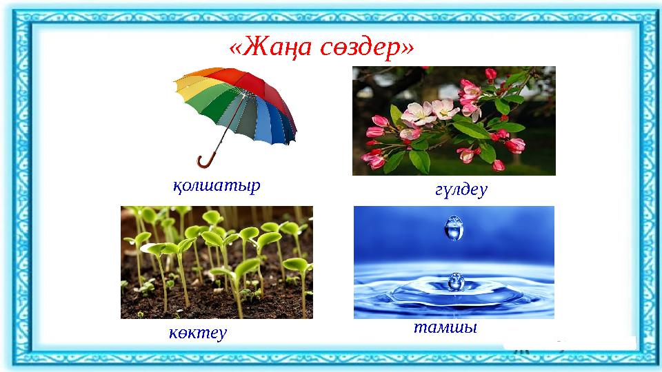 Азиатки порно в чулки в HD