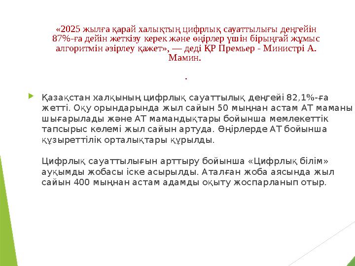 «2025 жылға қарай халықтың цифрлық сауаттылығы деңгейін 87%-ға дейін жеткізу керек және өңірлер үшін бірыңғай жұмыс алгоритмін