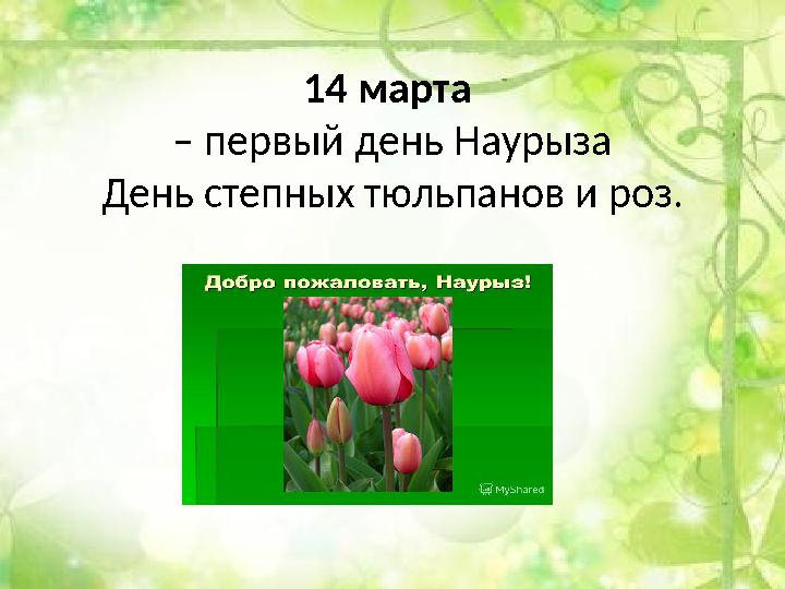 14 марта – первый день Наурыза День степных тюльпанов и роз.