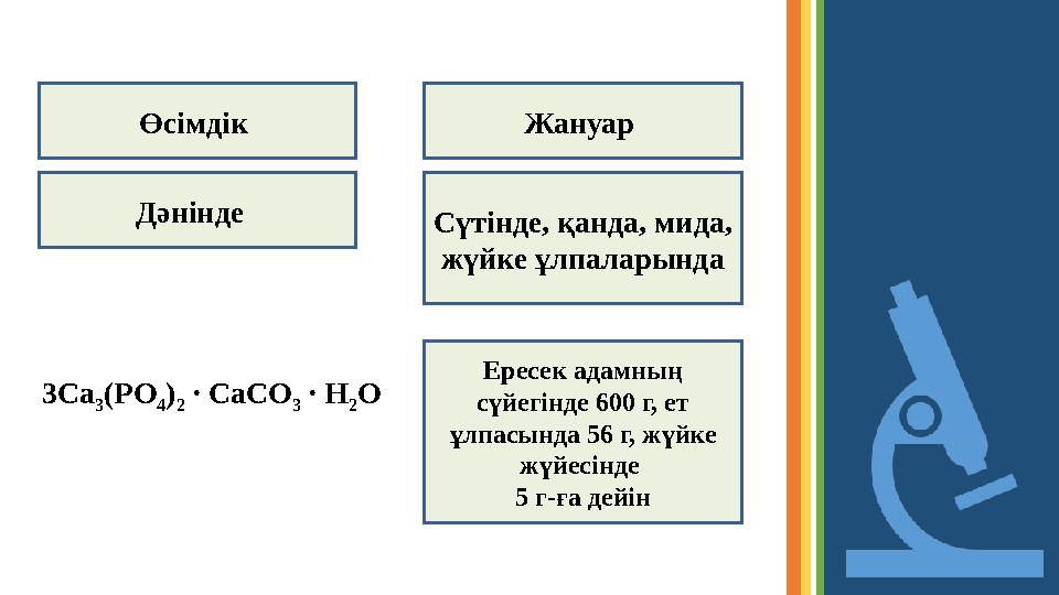 Ересек адамның сүйегінде 600 г, ет ұлпасында 56 г, жүйке жүйесінде 5 г - ға дейінЖануар Дәнінде Сүтінде, қанда, мида