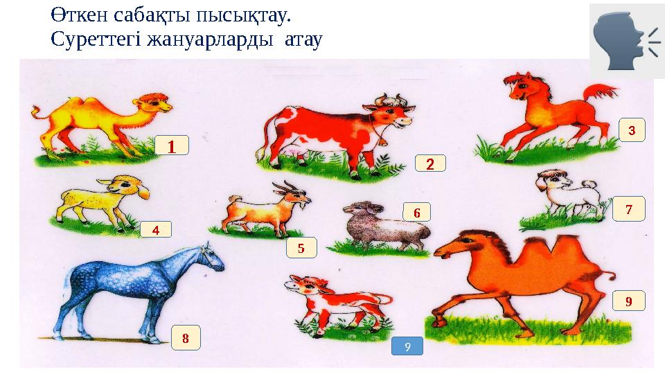 Өткен сабақты пысықтау. Суреттегі жануарларды атау 1 2 3 4 5 6 7 8 9 9