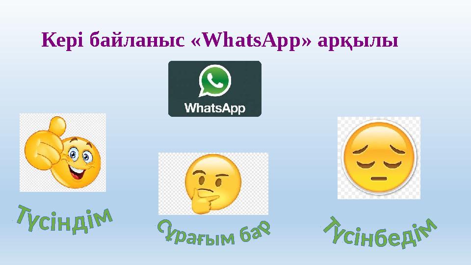 Кері байланыс « WhatsApp » арқылы