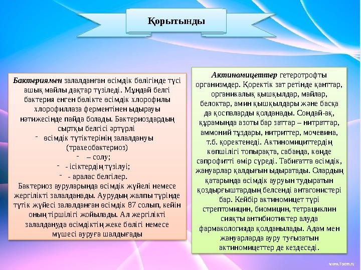 Қорытынды Бактериямен залалданған өсімдік бөлігінде түсі ашық майлы дақтар түзіледі. Мұндай белгі бактерия енген бөлікте өсім