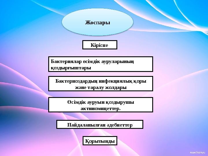 Жоспары Кіріспе Бактериялар өсімдік ауруларының қоздырғыштары Бактериоздардың инфекциялық қоры жəне таралу жолдары Өсімдік