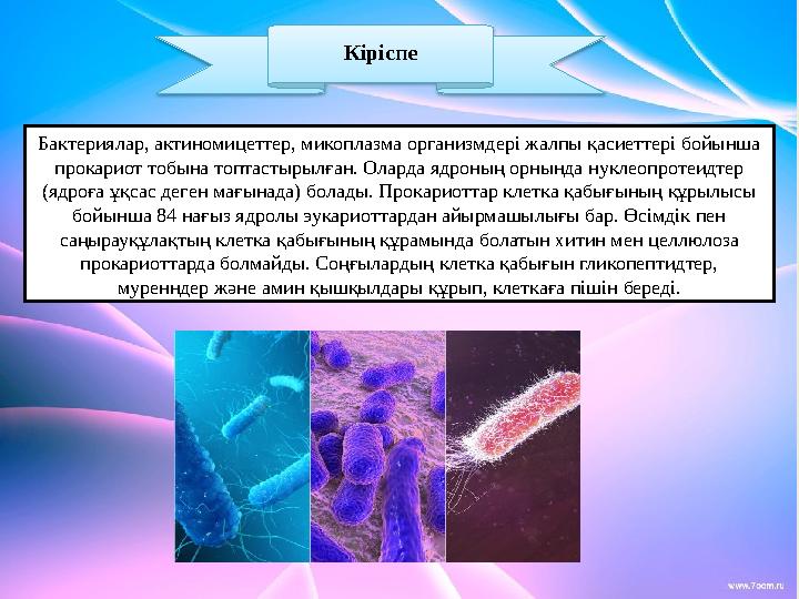 Бактериялар, актиномицеттер, микоплазма организмдері жалпы қасиеттері бойынша прокариот тобына топтастырылған. Оларда ядроның о