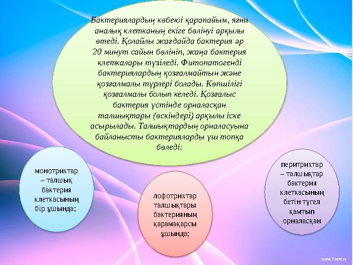 Бактериялардың көбеюі қарапайым, яғни аналық клетканың екіге бөлінуі арқылы өтеді. Қолайлы жағдайда бактерия ə р 20 минут са