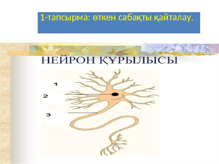 1-тапсырма: өткен сабақты қайталау .