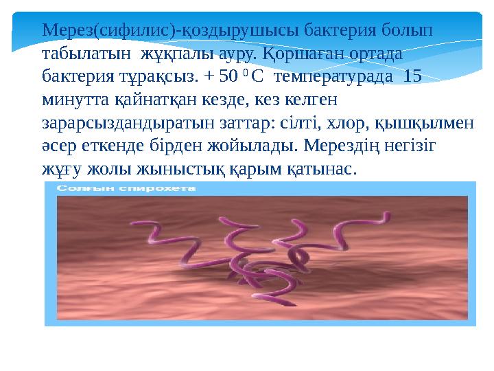 Мерез(сифилис) - қоздырушысы бактерия болып табылатын жұқпалы ауру. Қоршаған ортада бактерия тұрақсыз. + 50 0 С температур