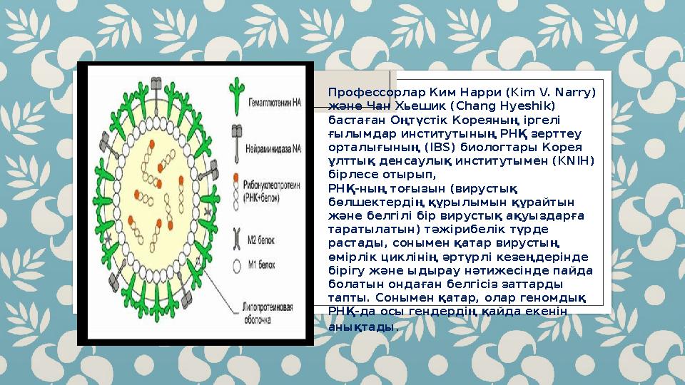 Профессорлар Ким Нарри ( Kim V. Narry) және Чан Хьешик ( Chang Hyeshik) бастаған Оңтүстік Кореяның іргелі ғылымдар институтын