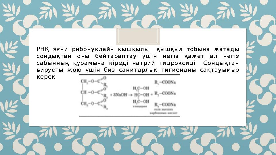 РНҚ яғни рибонуклейн қышқылы қышқыл тобына жатады сондықтан оны бейтараптау үшін негіз қажет ал негіз сабынның