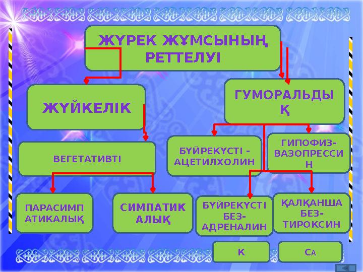 ЖҮРЕК ЖҰМСЫНЫҢ РЕТТЕЛУІ ЖҮЙКЕЛІК ГУМОРАЛЬДЫ Қ ПАРАСИМП АТИКАЛЫҚ ВЕГЕТАТИВТІ СИМПАТИК АЛЫҚ БҮЙРЕКҮСТІ - АЦЕТИЛХОЛИН БҮЙРЕКҮСТІ