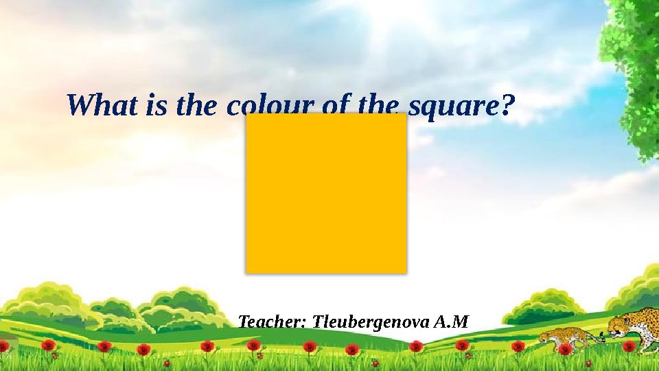 Teacher: Tleubergenova A.MWhat is the colour of the square?