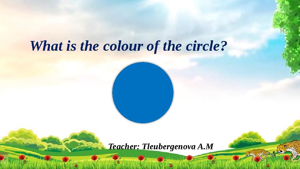 Teacher: Tleubergenova A.MWhat is the colour of the circle?