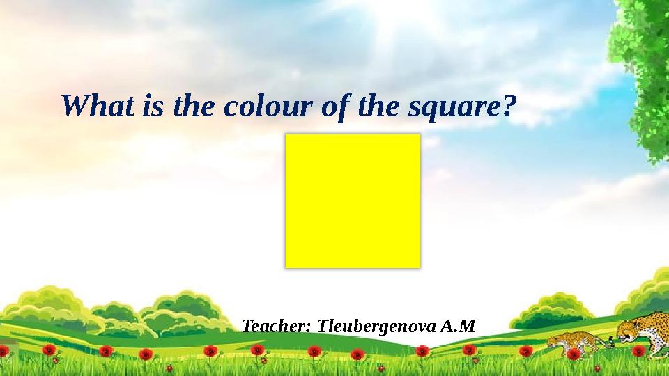 Teacher: Tleubergenova A.MWhat is the colour of the square?