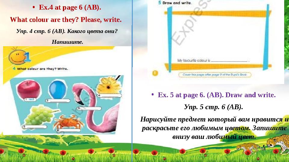 • Ex . 4 at page 6 (AB). What colour are they? Please, write. Упр . 4 стр . 6 ( AB ) . Какого цвета они? Напишите. • Ex