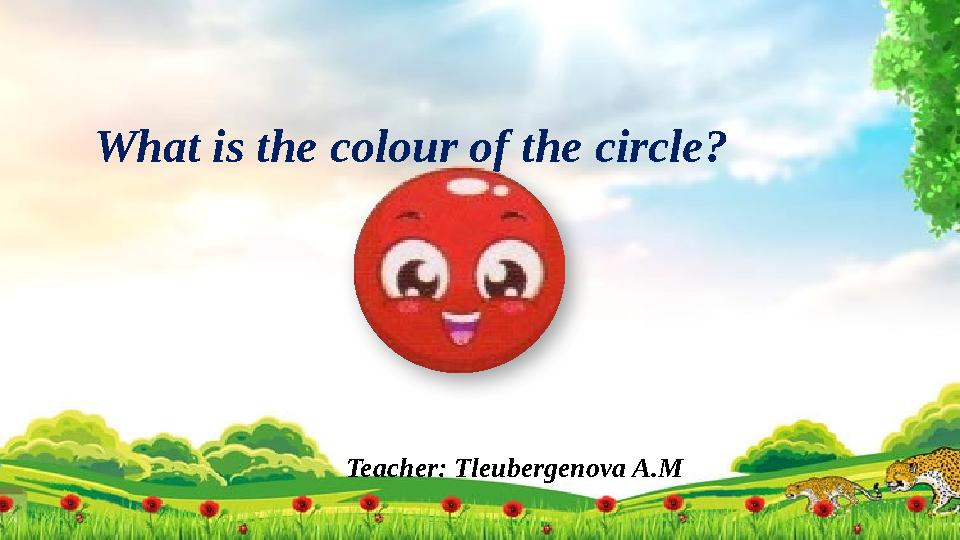 Teacher: Tleubergenova A.MWhat is the colour of the circle?