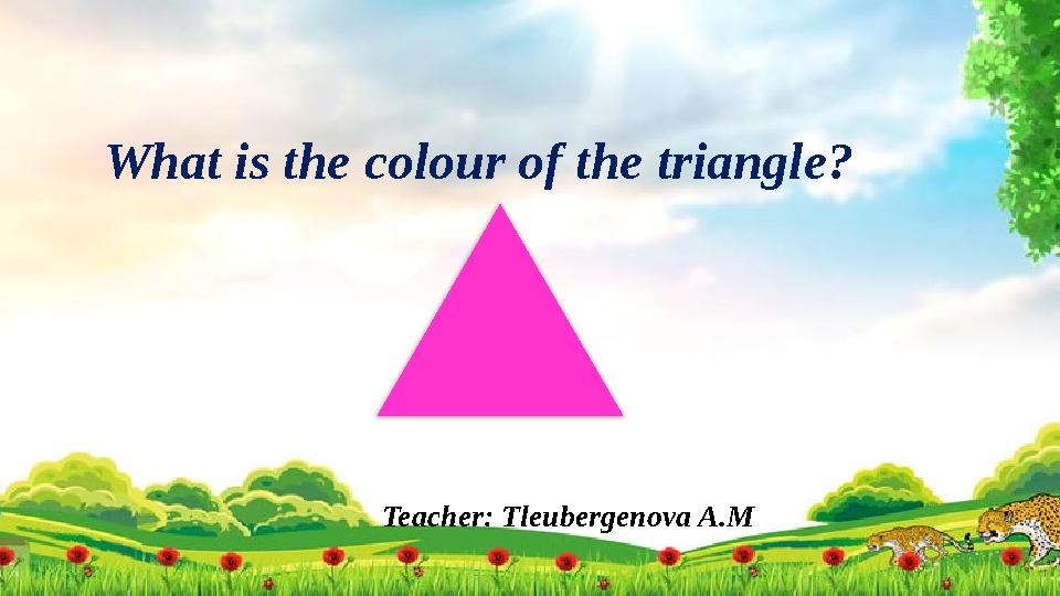 Teacher: Tleubergenova A.MWhat is the colour of the triangle?