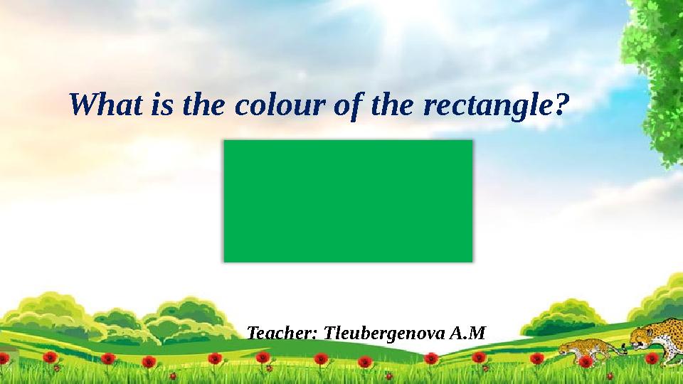 Teacher: Tleubergenova A.MWhat is the colour of the rectangle?