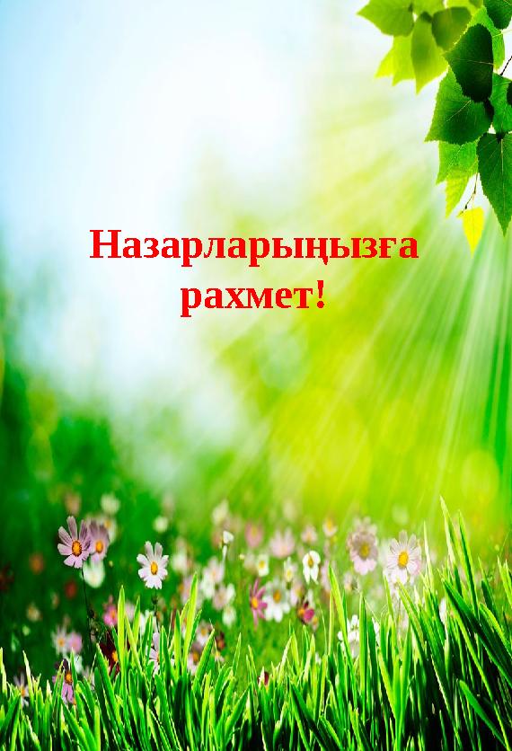 Назарларыңызға рахмет!