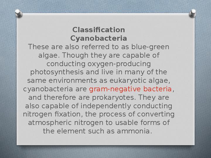 Classification Cyanobacteria These are also referred to as blue-green algae. Though they are capable of conducting oxygen-prod