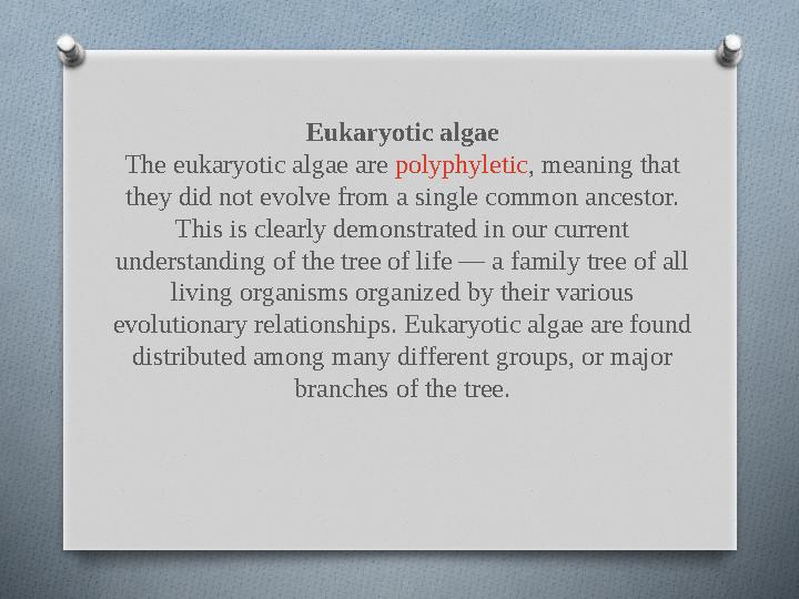 Eukaryotic algae The eukaryotic algae are polyphyletic , meaning that they did not evolve from a single common ancestor. This