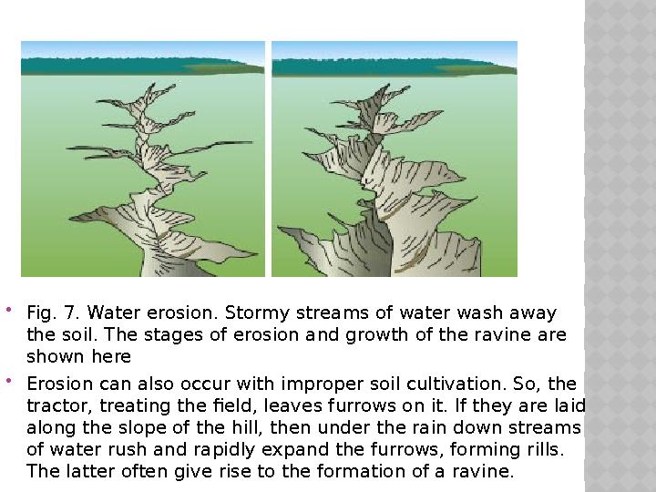  Fig. 7. Water erosion. Stormy streams of water wash away the soil. The stages of erosion and growth of the ravine are shown