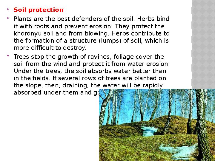  Soil protection  Plants are the best defenders of the soil. Herbs bind it with roots and prevent erosion. They protect the