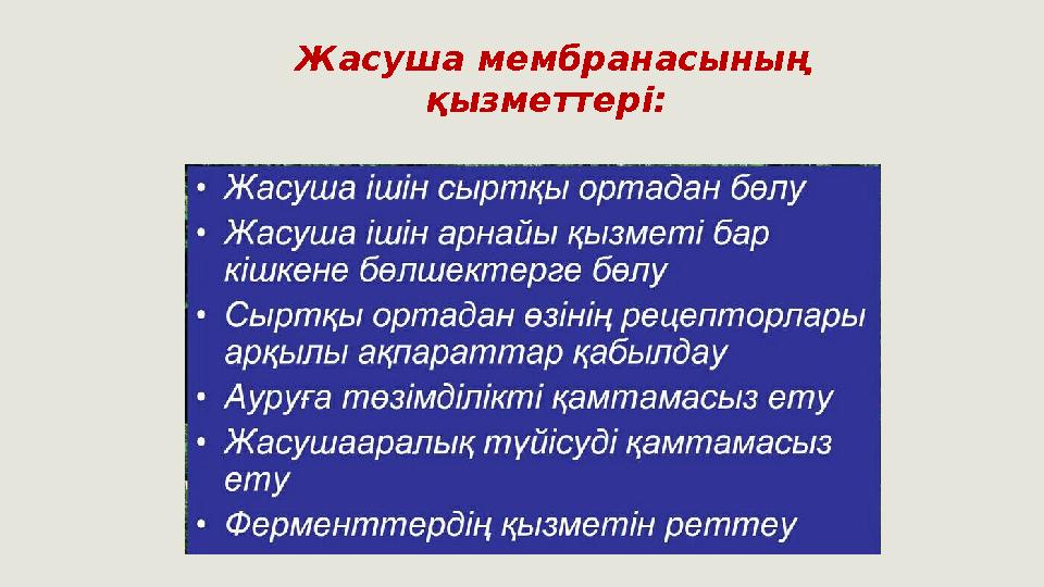 Жасуша мембранасының қызметтері: