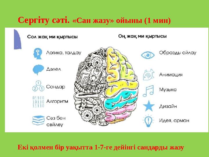 Сергіту сәті. «Сан жазу» ойыны (1 мин) Екі қолмен бір уақытта 1-7-ге дейінгі сандарды жазу