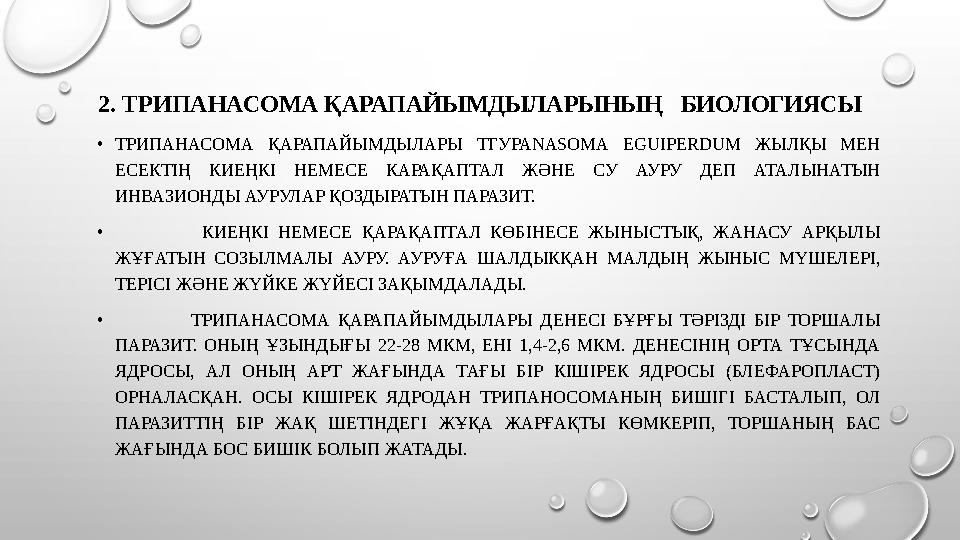 2. ТРИПАНАСОМА ҚАРАПАЙЫМДЫЛАРЫНЫҢ БИОЛОГИЯСЫ • ТРИПАНАСОМА ҚАРАПАЙЫМДЫЛАРЫ ТГУРАNASOMА EGUIPERDUM ЖЫЛҚЫ МЕН ЕСЕКТІҢ КИ