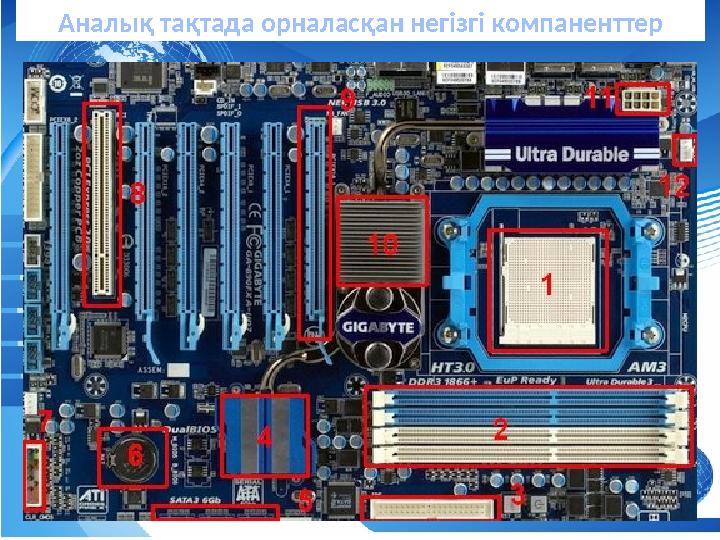 абаАналық тақтада орналасқан негізгі компаненттер