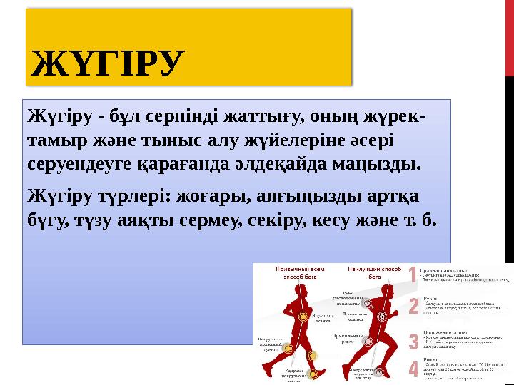 ЖҮГІРУ Жүгіру - бұл серпінді жаттығу, оның жүрек- тамыр және тыныс алу жүйелеріне әсері серуендеуге қарағанда әлдеқайда маңызды