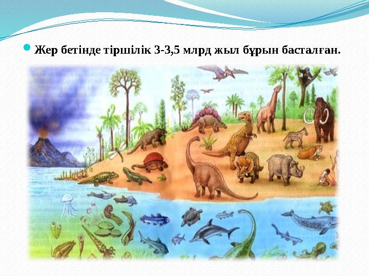 Мәскеудегі S&M жезөкшелері