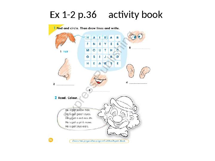 Ex 1-2 p.36 activity book