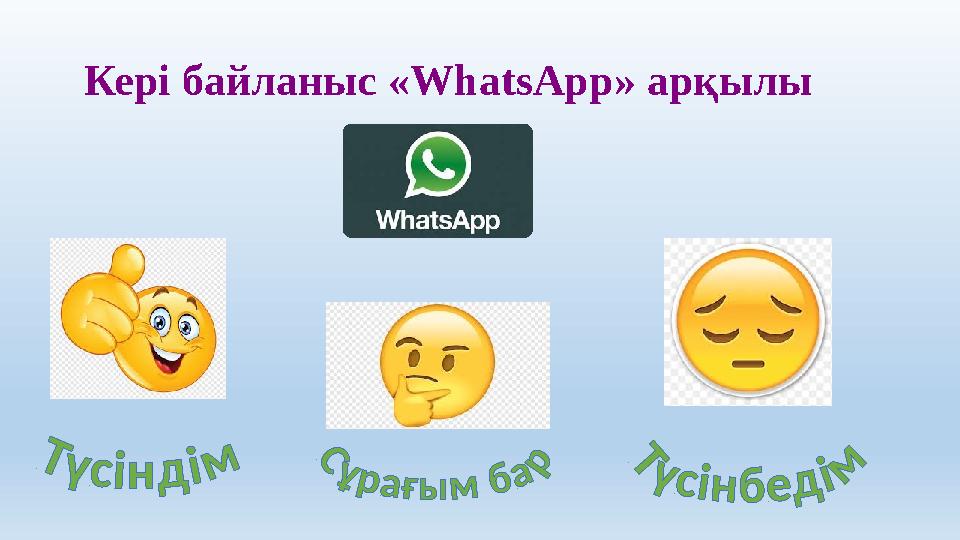 Кері байланыс « WhatsApp » арқылы